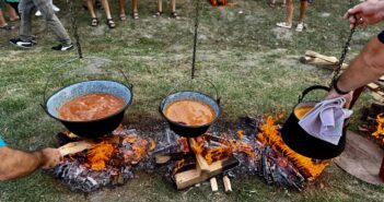 Festival tradicije, muzike i hrane „Bodrog fest“